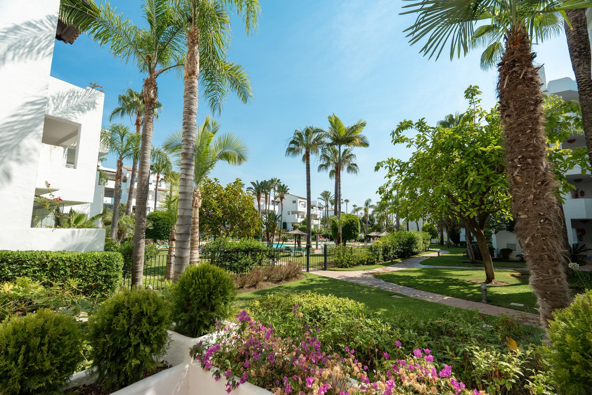Property main view 50
