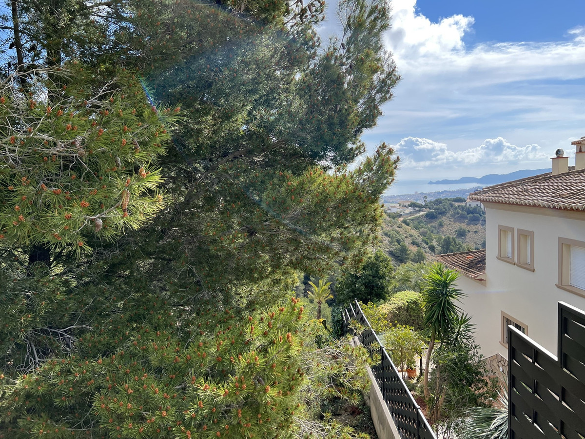Property main view 5