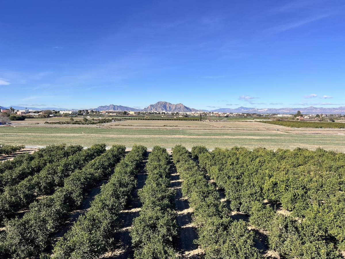 Property main view 34