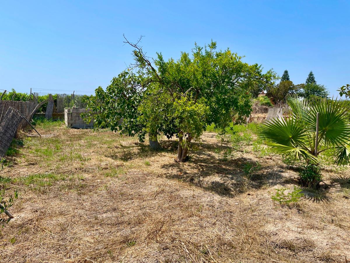 Property main view 19