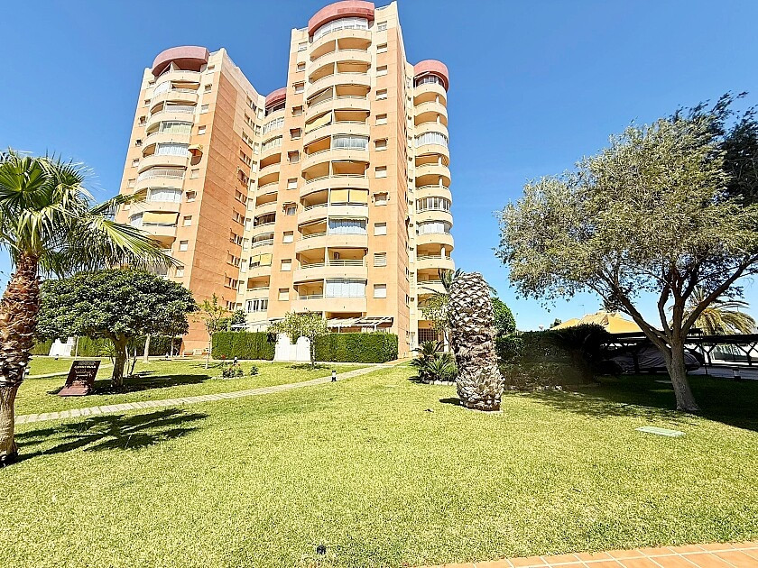 Commercieel te koop in Dehesa de Campoamor | 2 slaapkamers H5456182