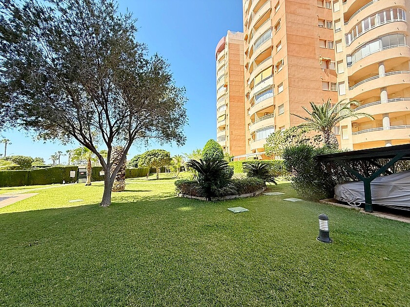 Commercieel te koop in Dehesa de Campoamor | 2 slaapkamers H5456182