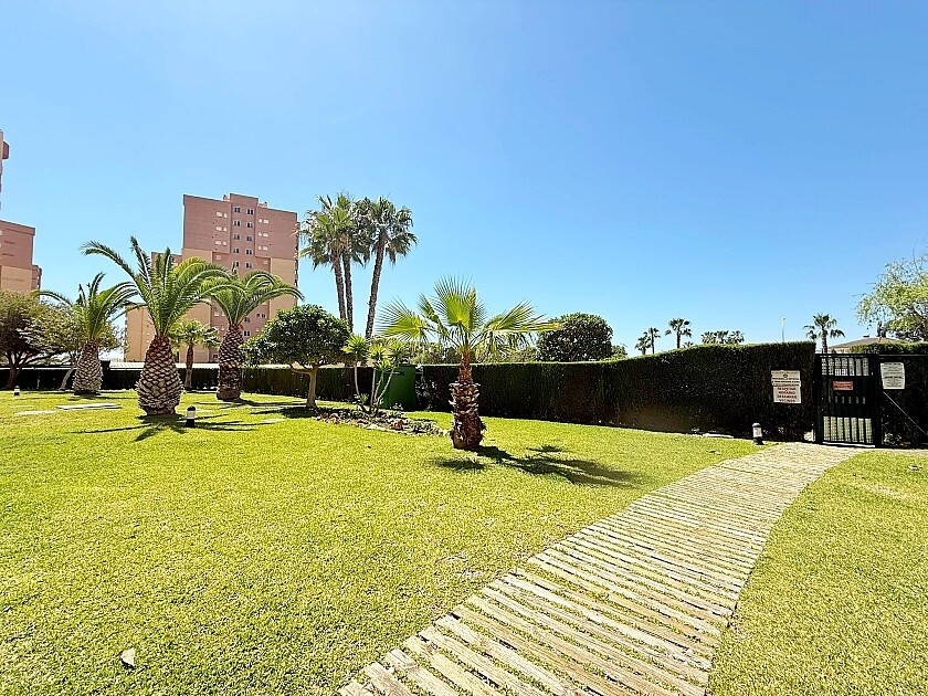 Commercieel te koop in Dehesa de Campoamor | 2 slaapkamers H5456182