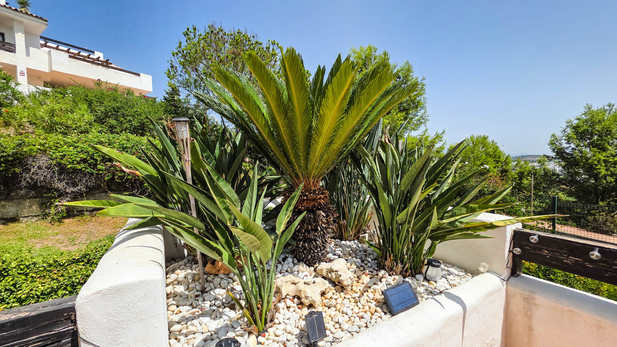 Property main view 15