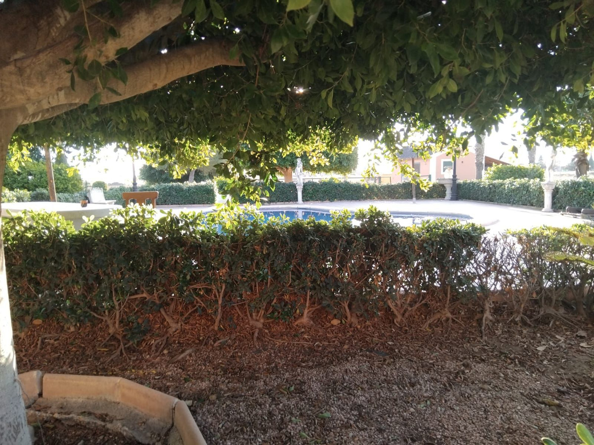 Huis te koop in Dolores | 5 slaapkamers H5259505