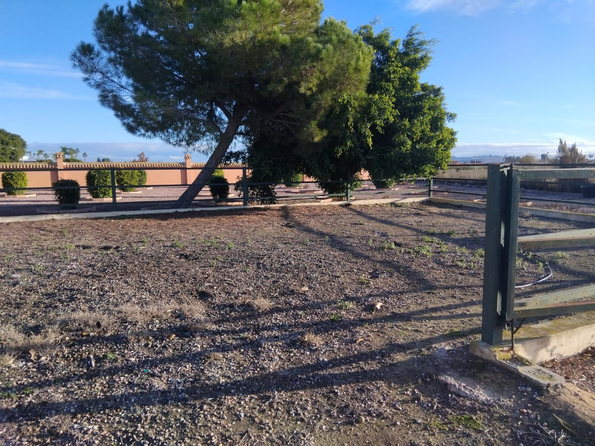 Huis te koop in Dolores | 5 slaapkamers H5259505