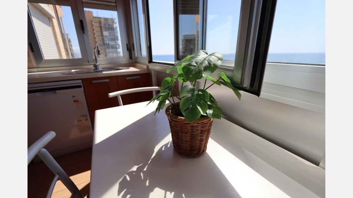 Property main view 6