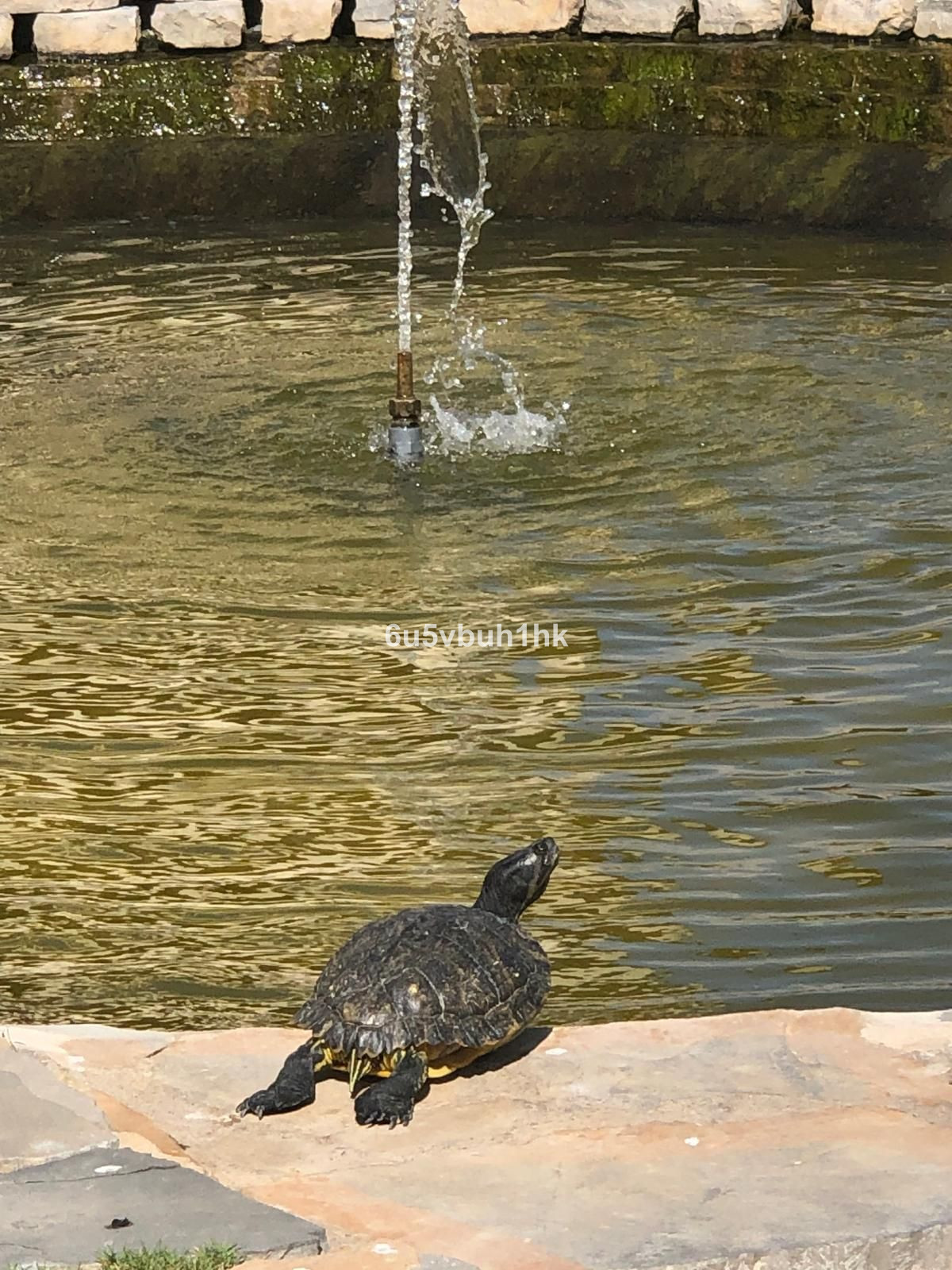 Property main view 21