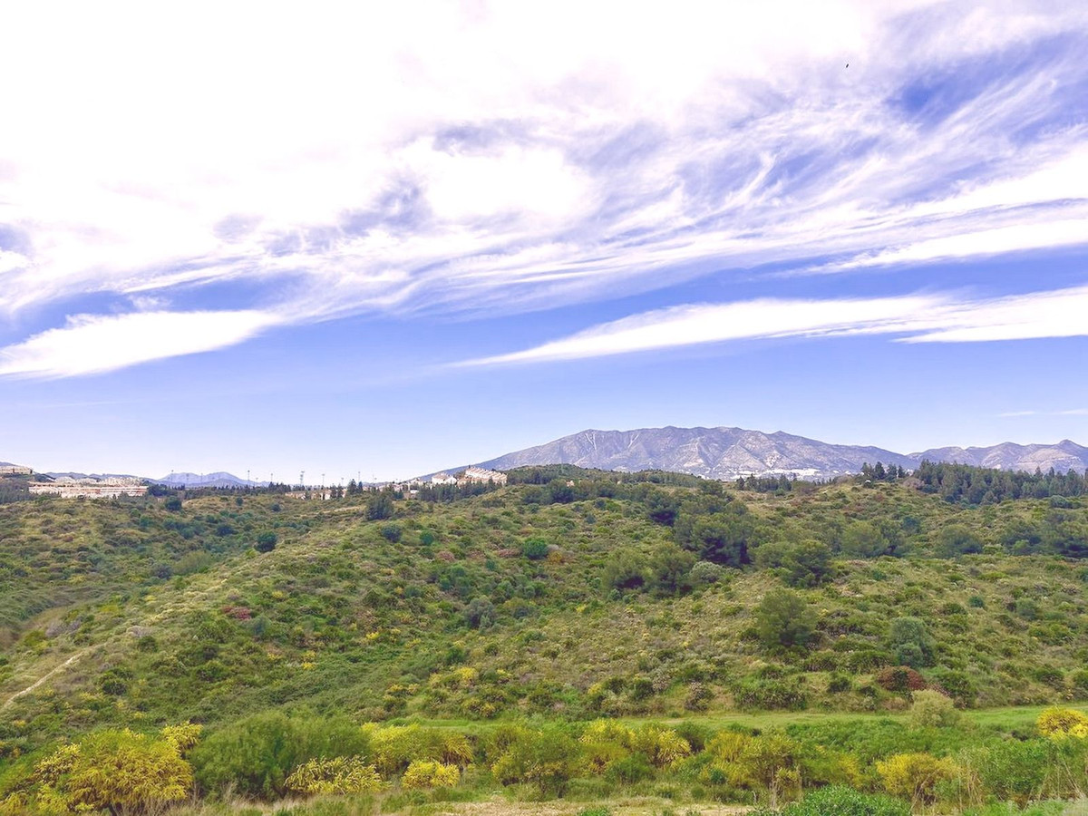 Property main view 17