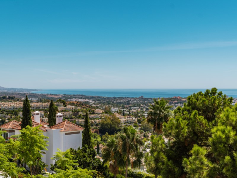 Property main view 42