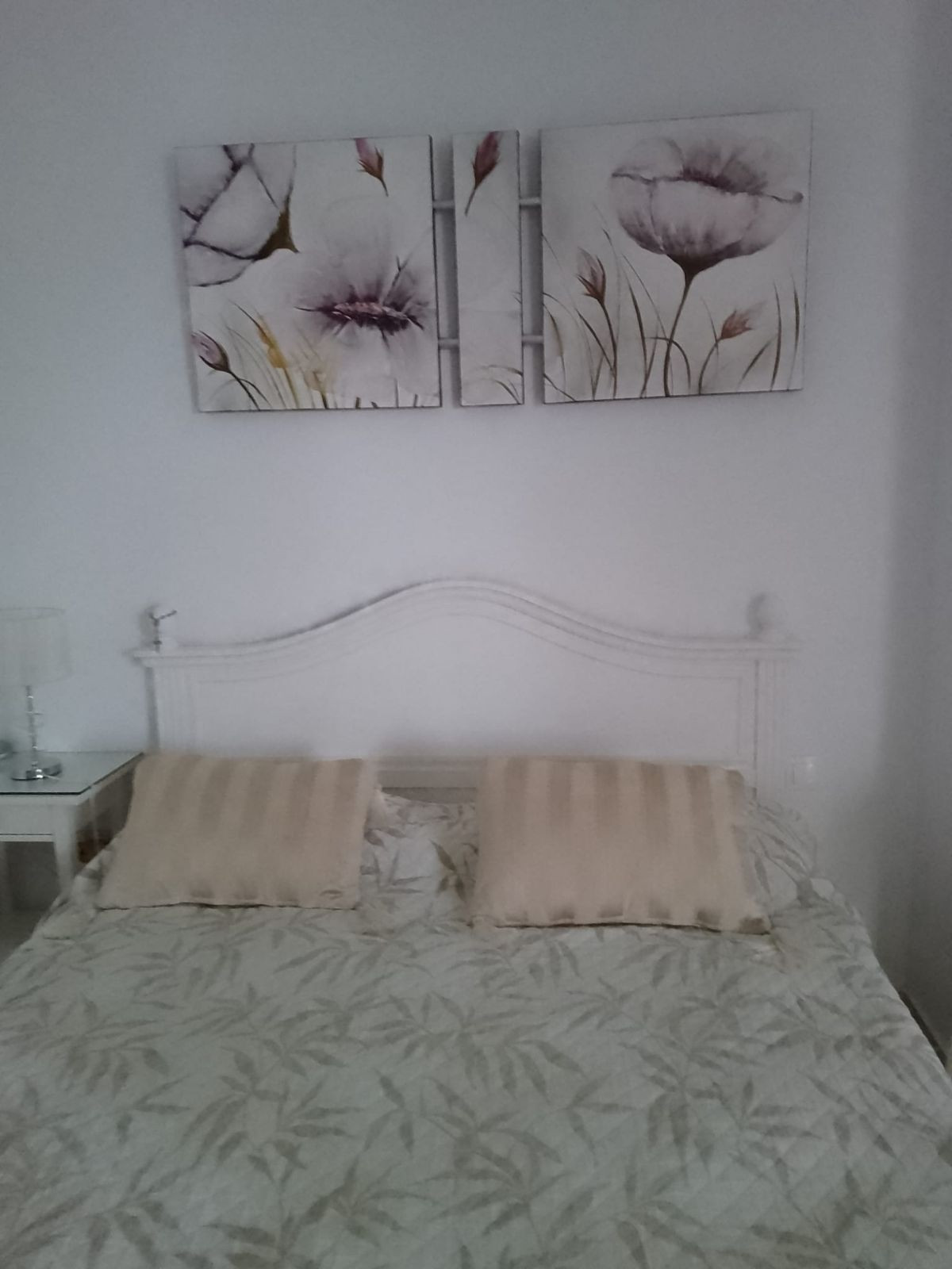 Begane grond appartement in El Padron-12