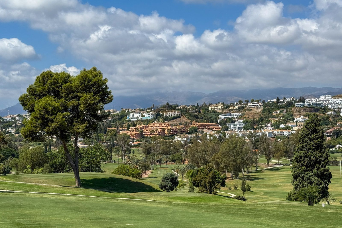 Property main view 31