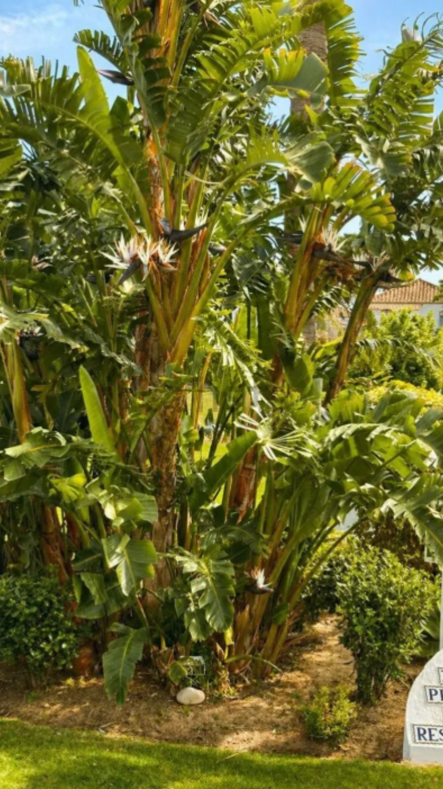 Appartement te koop in El Paraiso | 2 slaapkamers H5383957