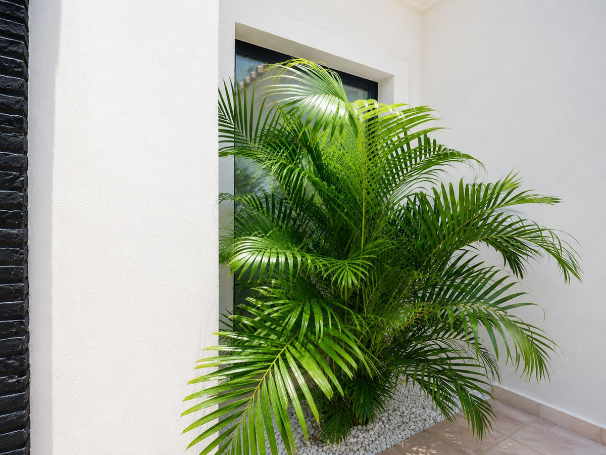 Property main view 8