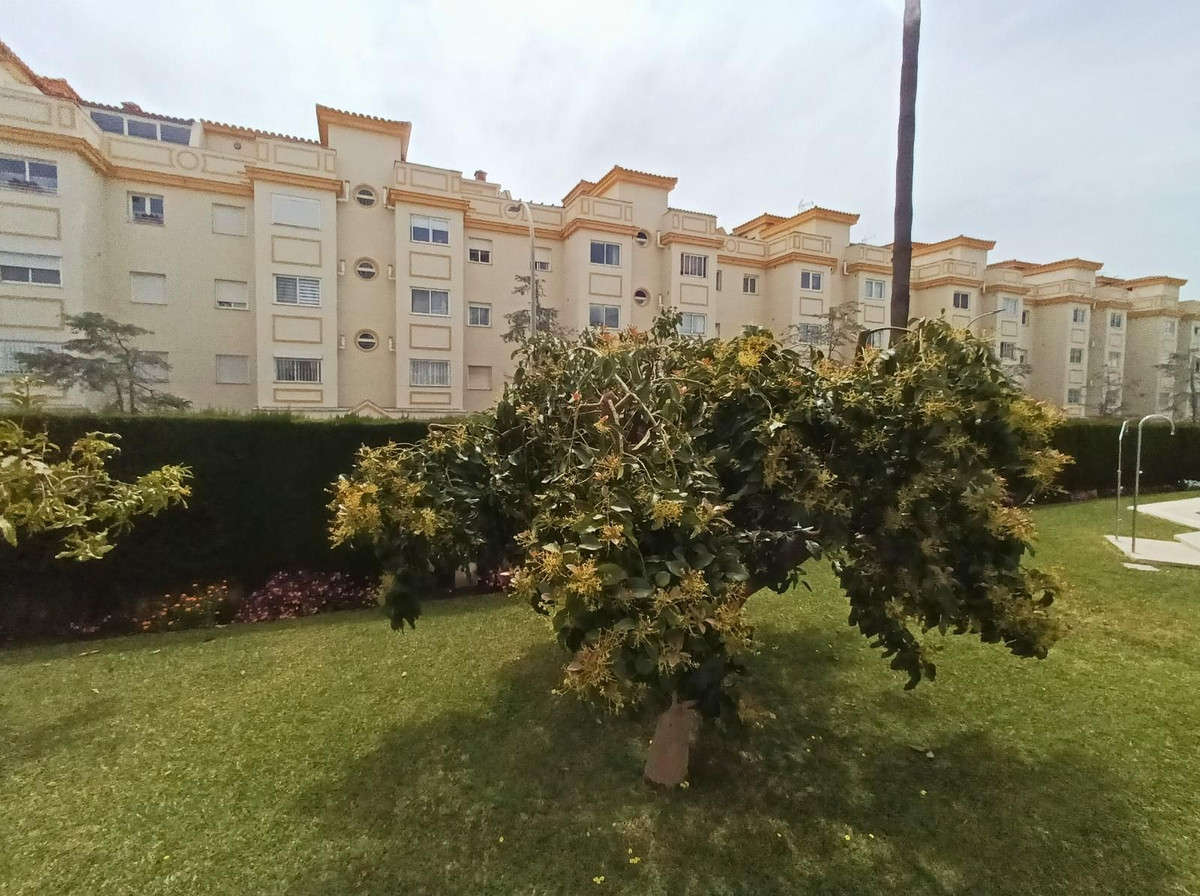 Property main view 21