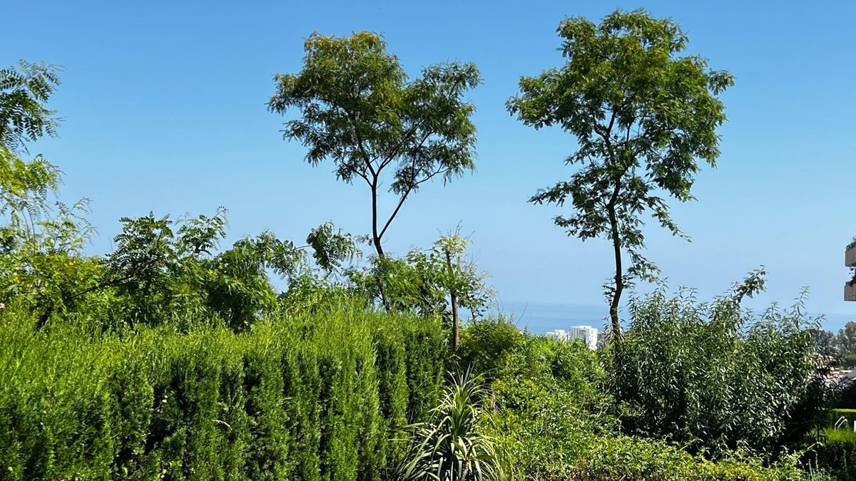 Property main view 6