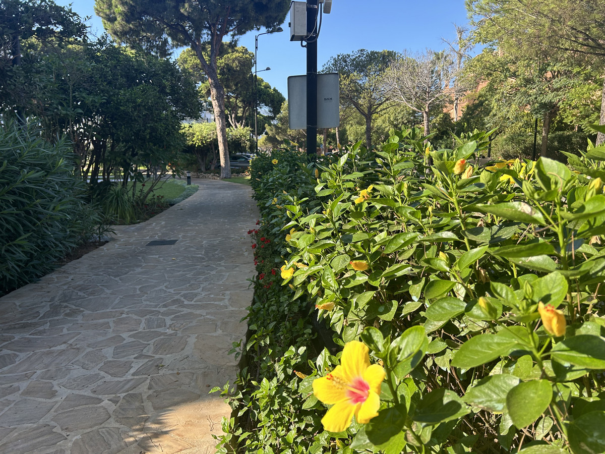 Property main view 12