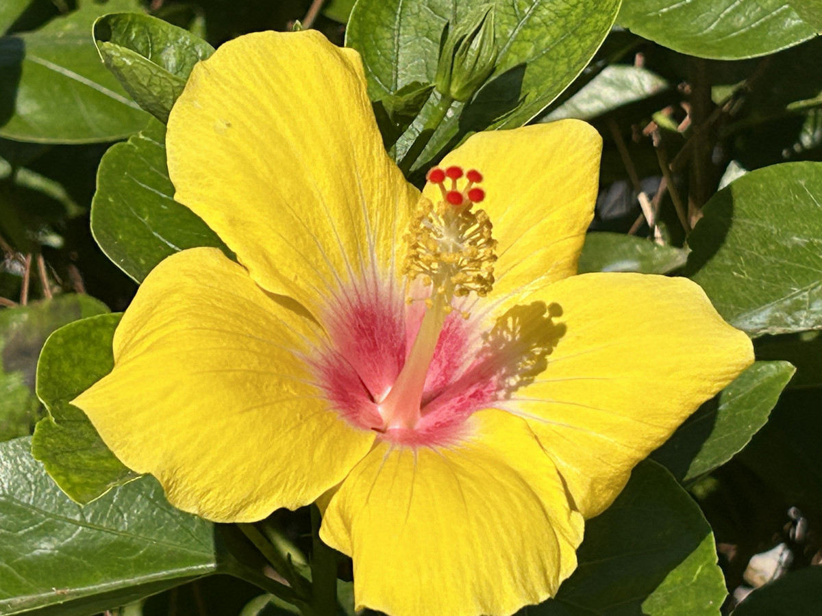 Property main view 5