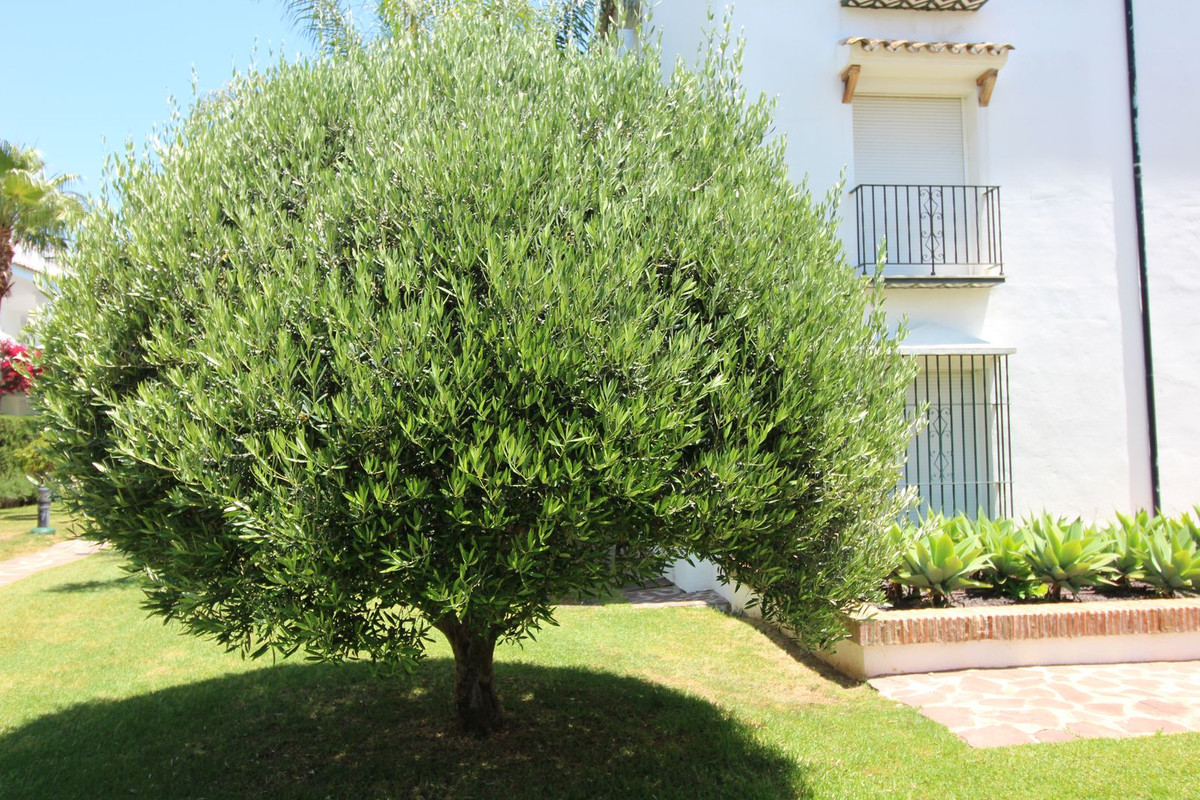 Property main view 20