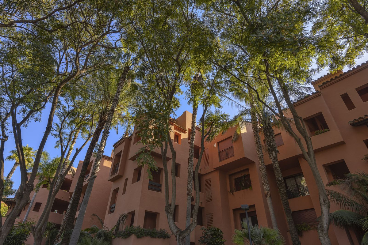 Property main view 32