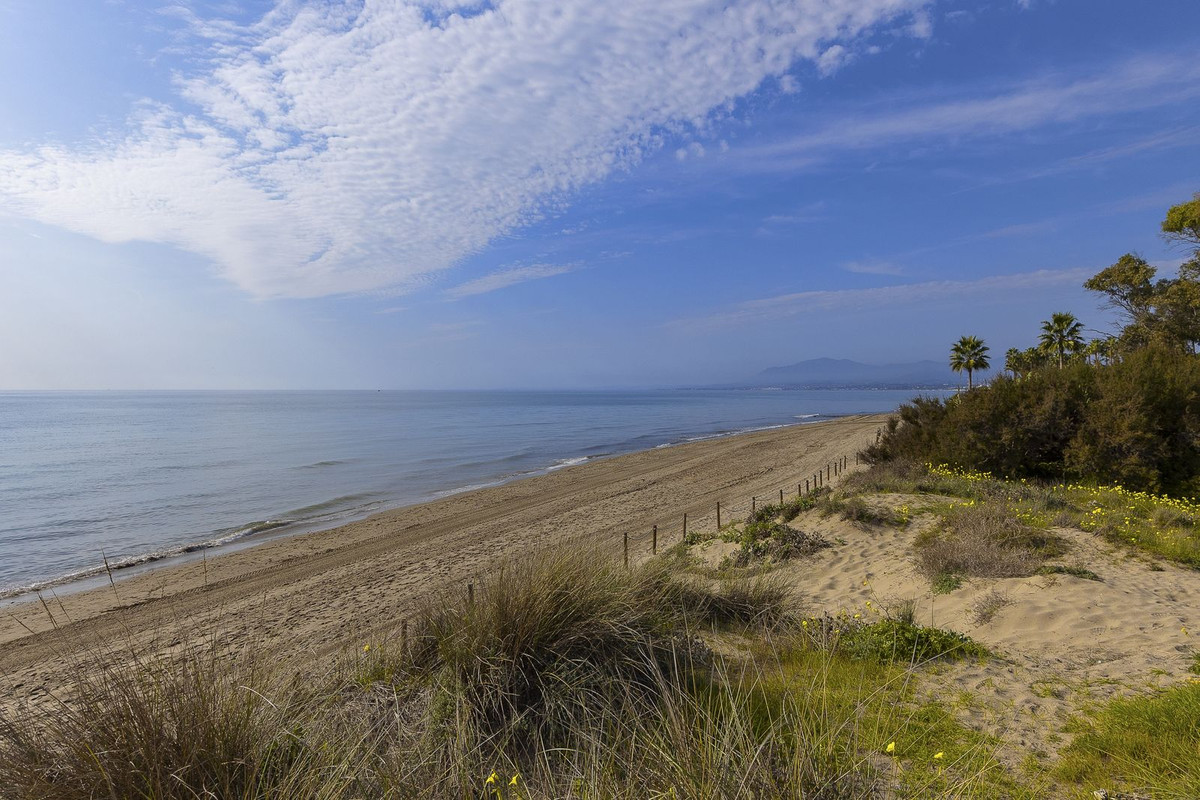 Property main view 35