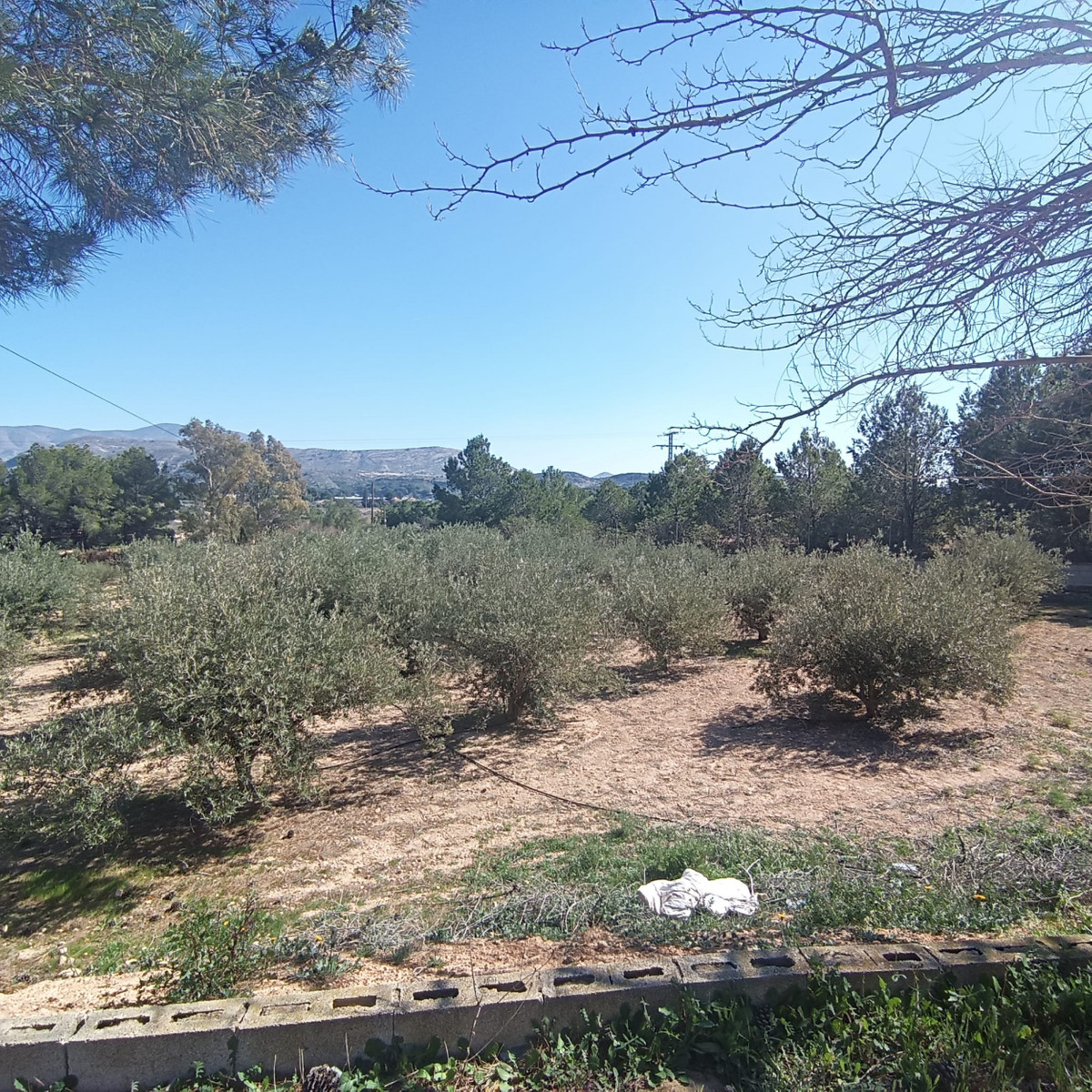 Property main view 28