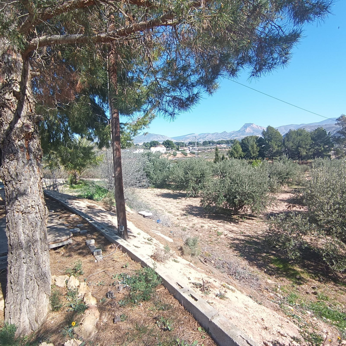 Property main view 32