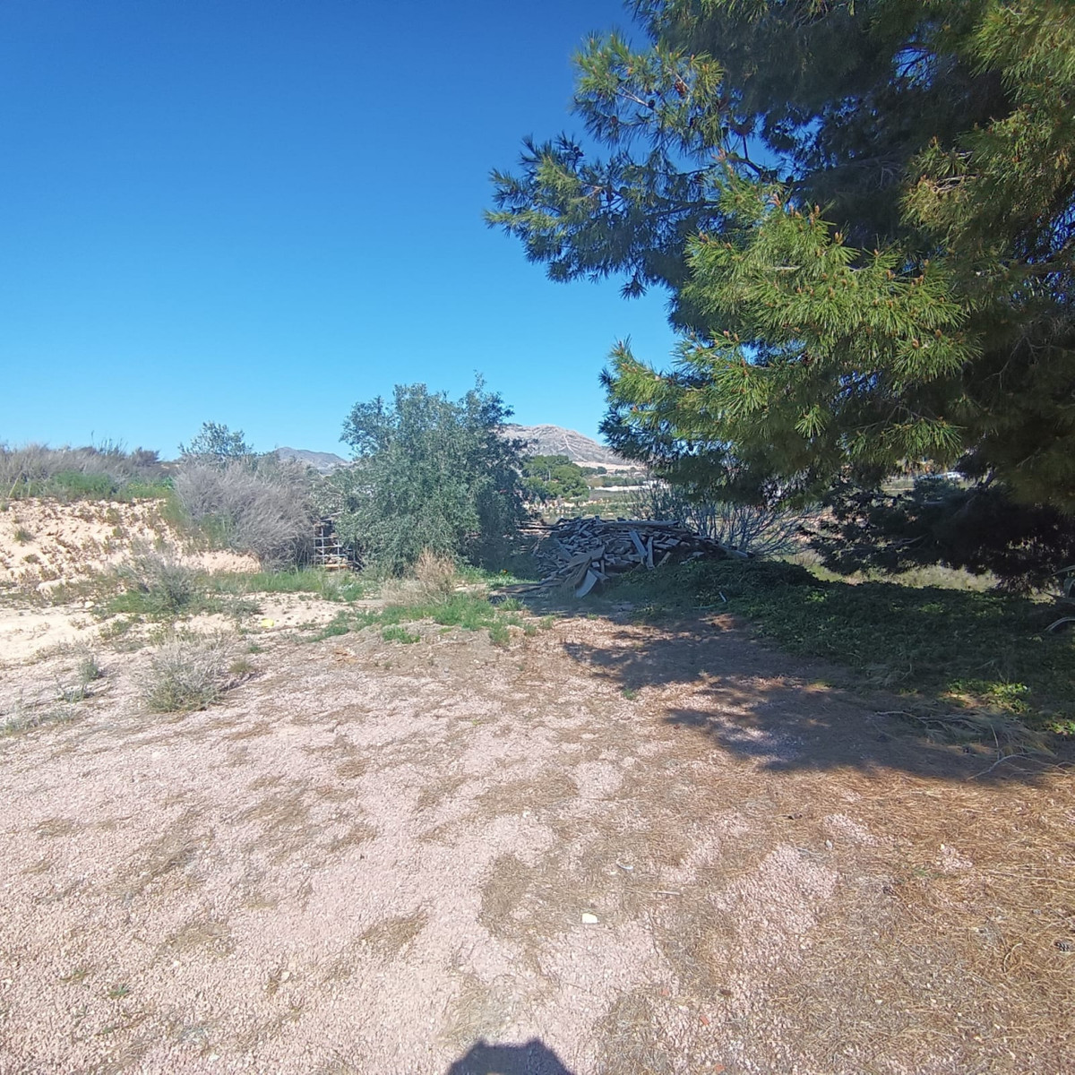 Property main view 39