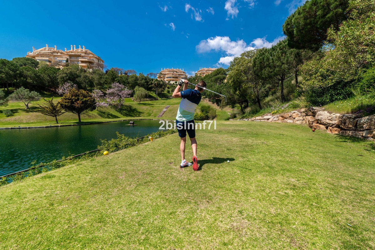 Property main view 39