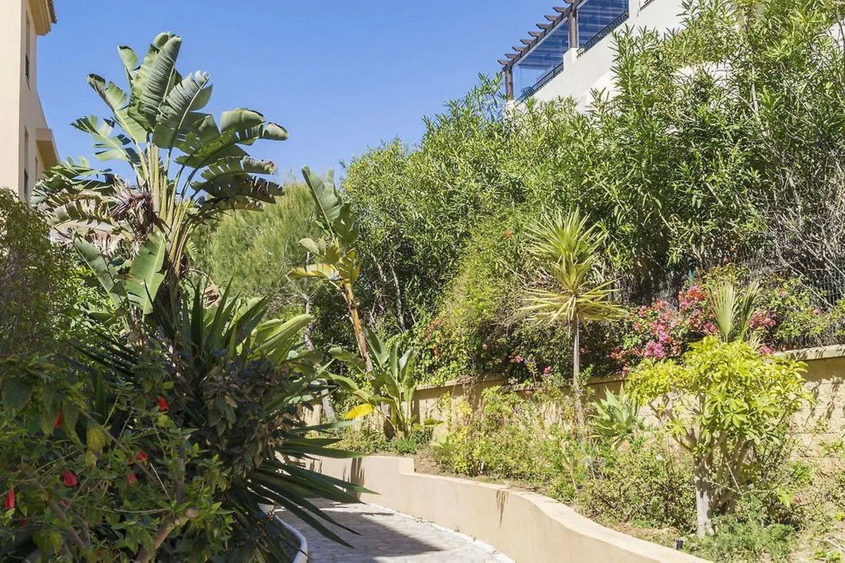 Property main view 7