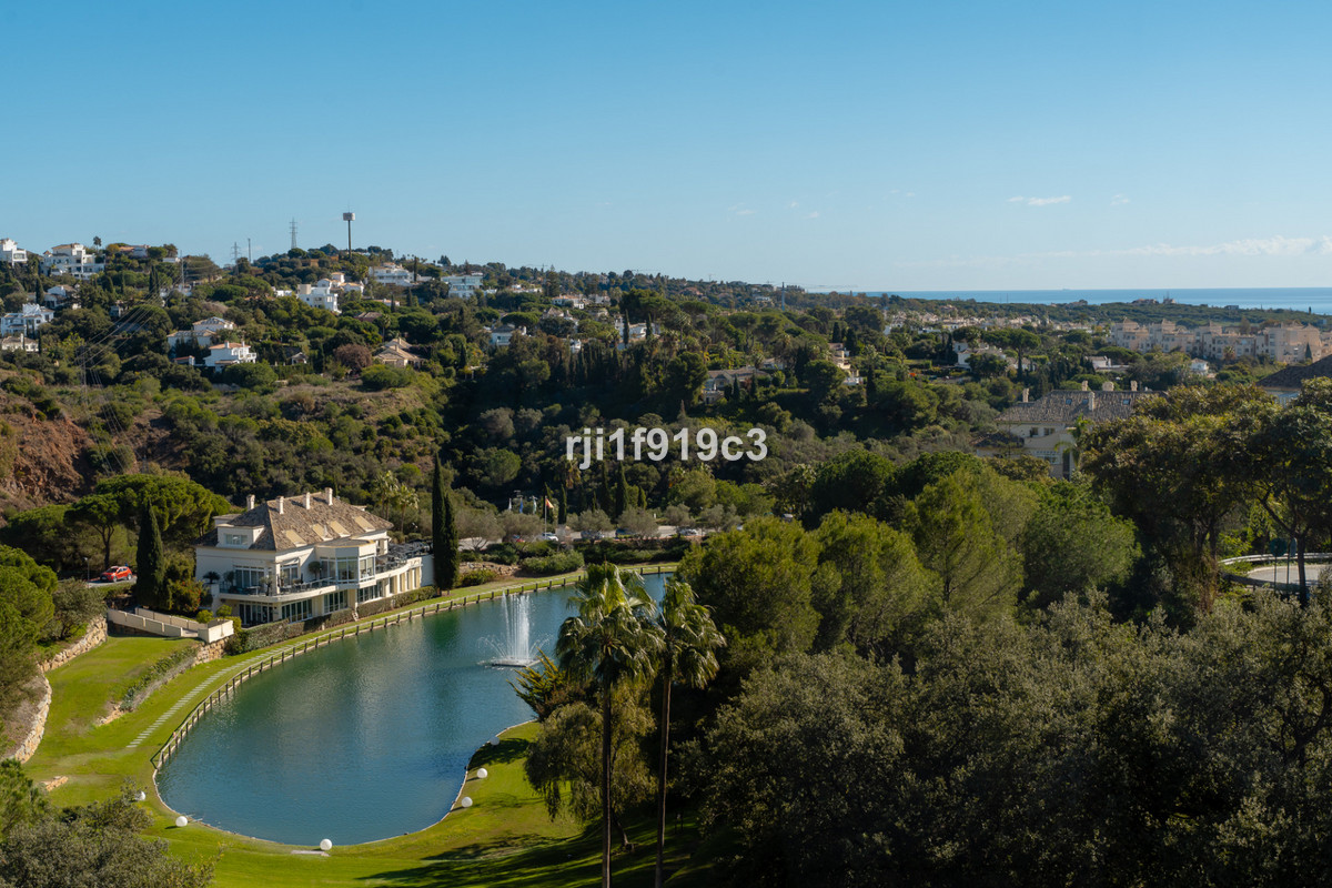 Property main view 20