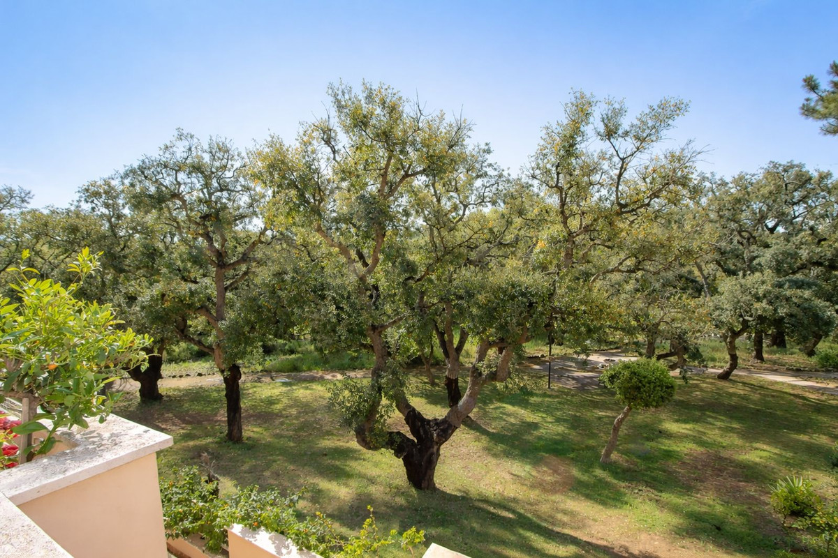 Property main view 11