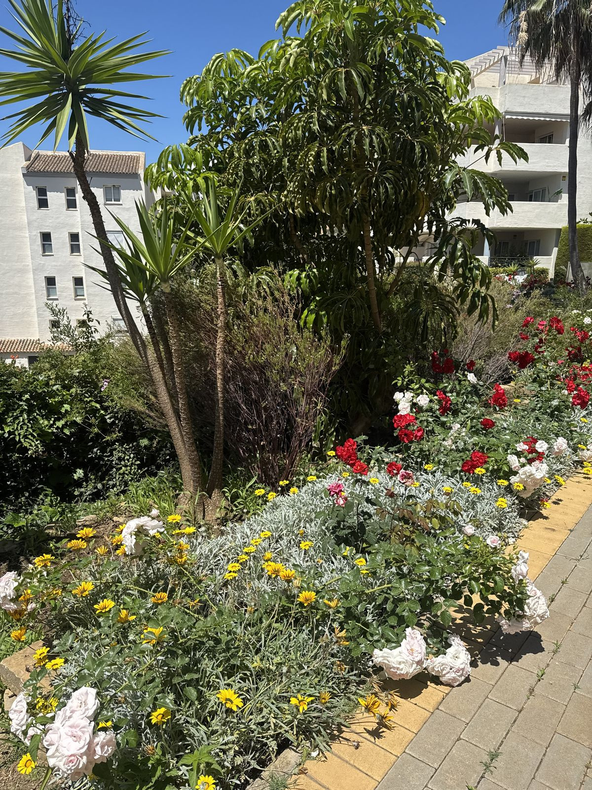 Appartement te koop in Elviria | 2 slaapkamers H5380015