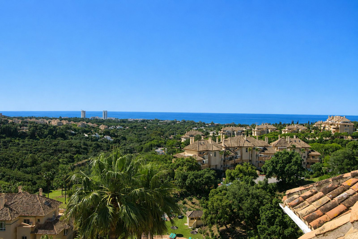 Property main view 42