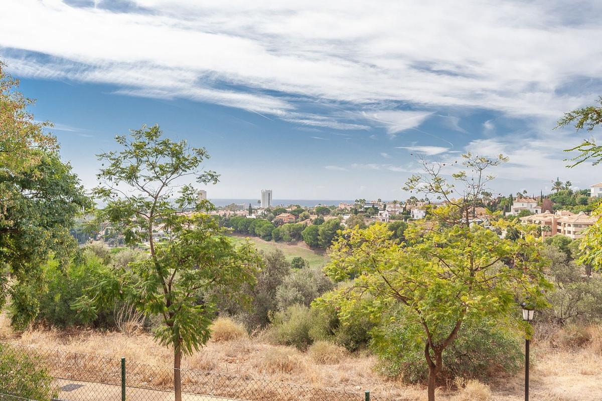 Property main view 19