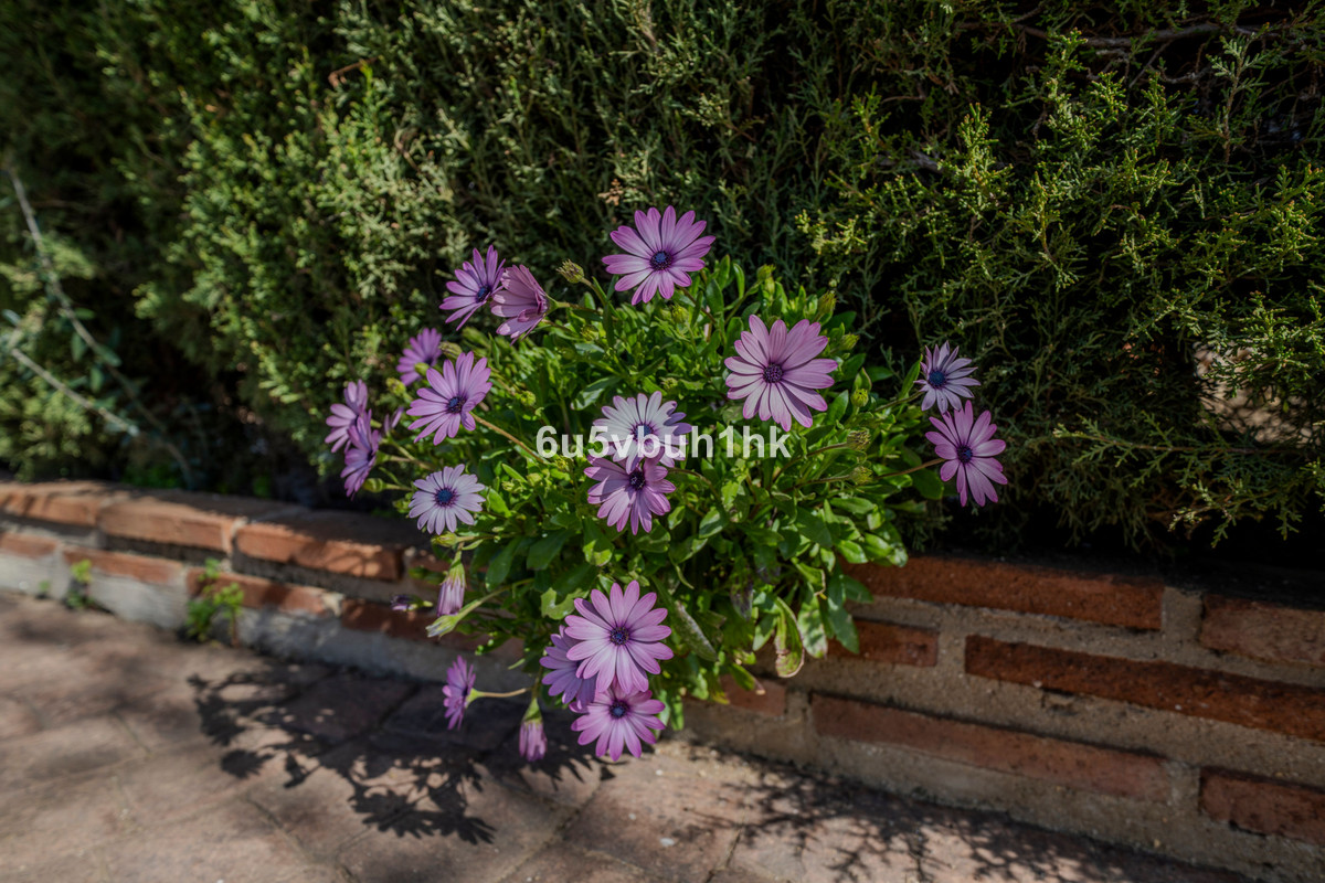 Property main view 21