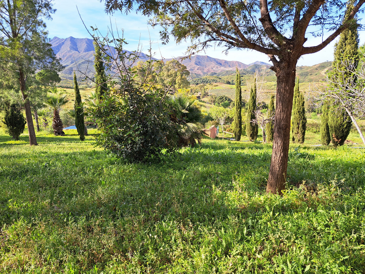 Huis te koop in Entrerrios | 4 slaapkamers H5397853