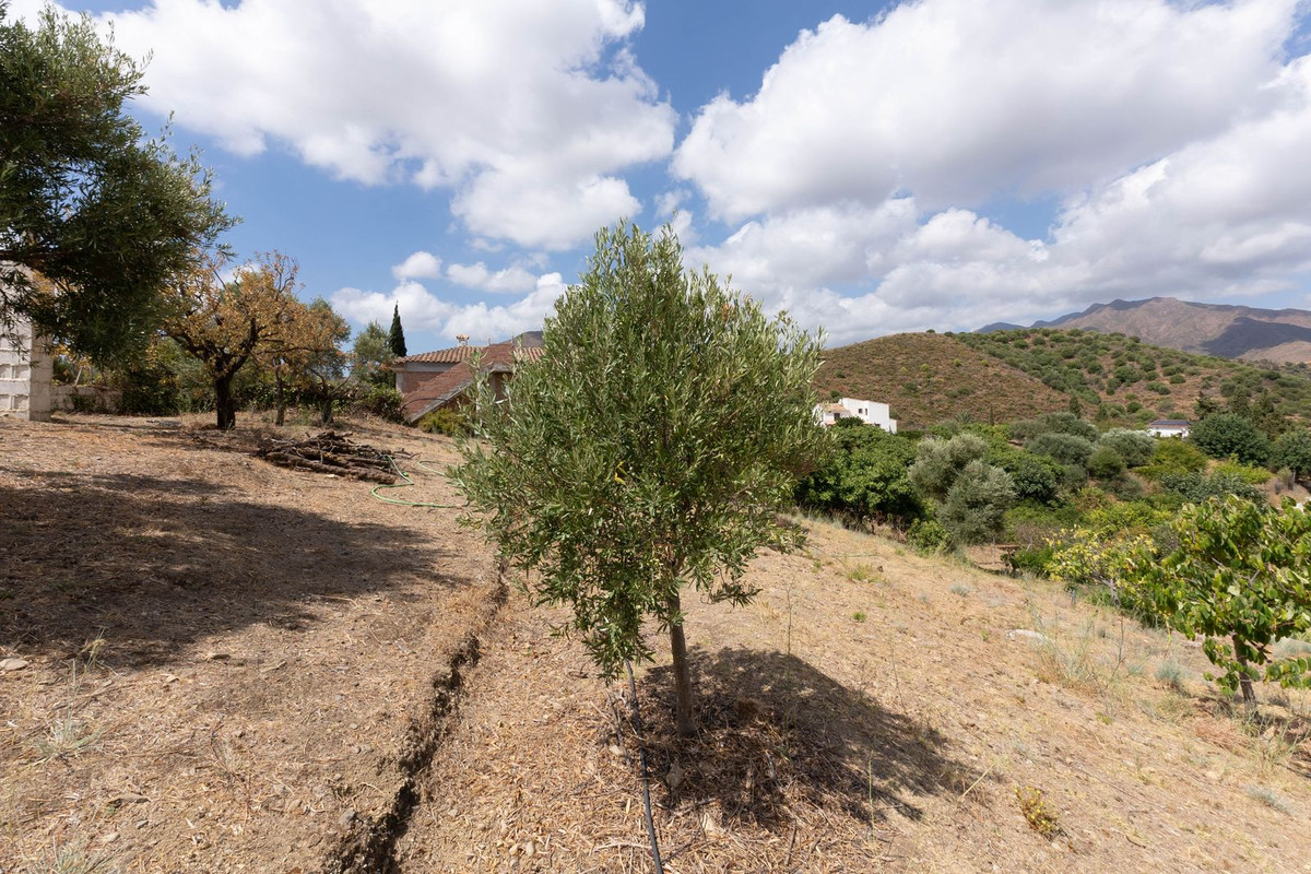 Property main view 32