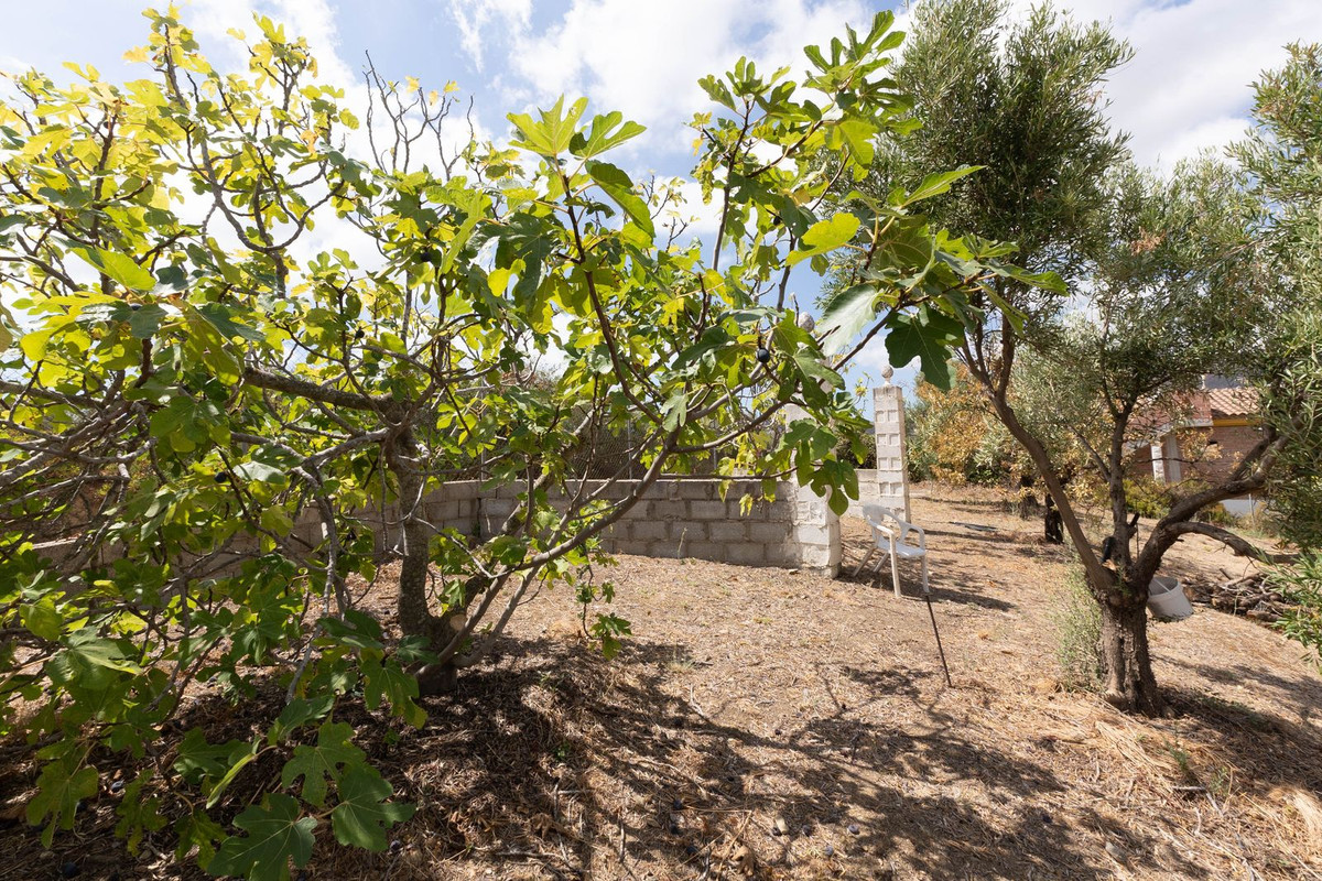 Property main view 33