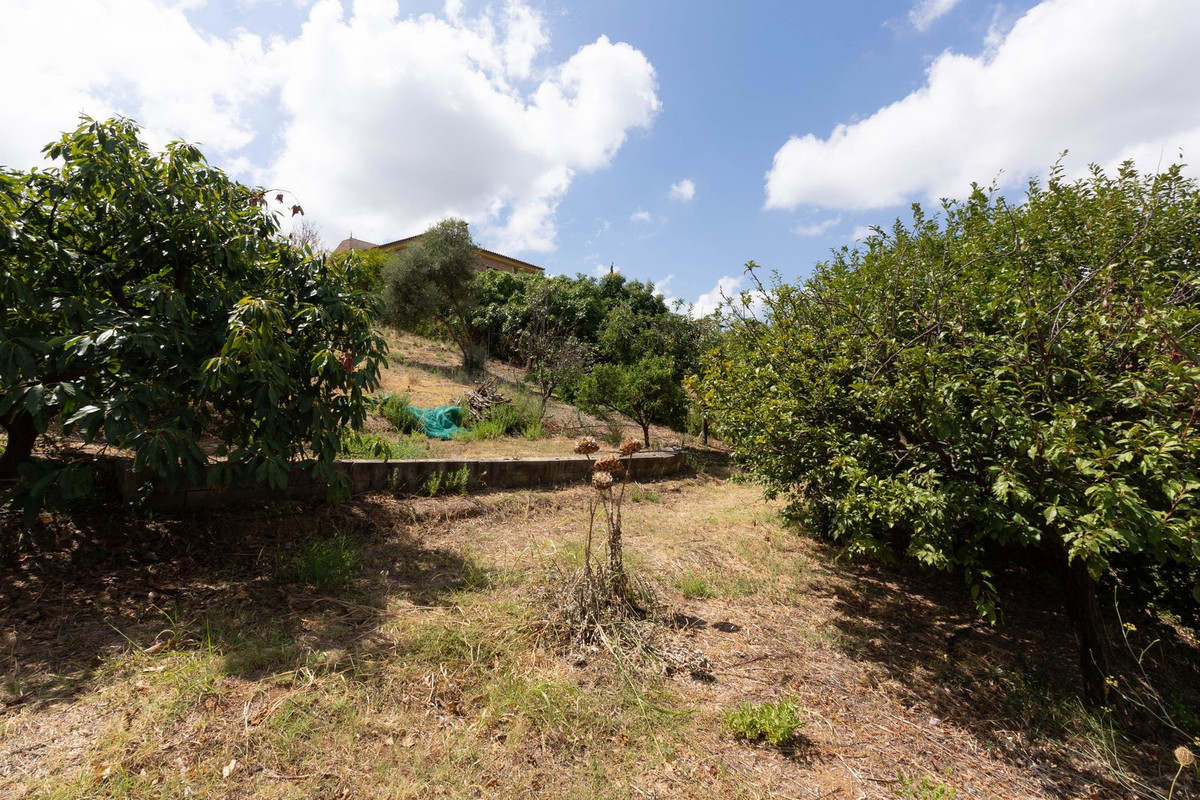 Property main view 35
