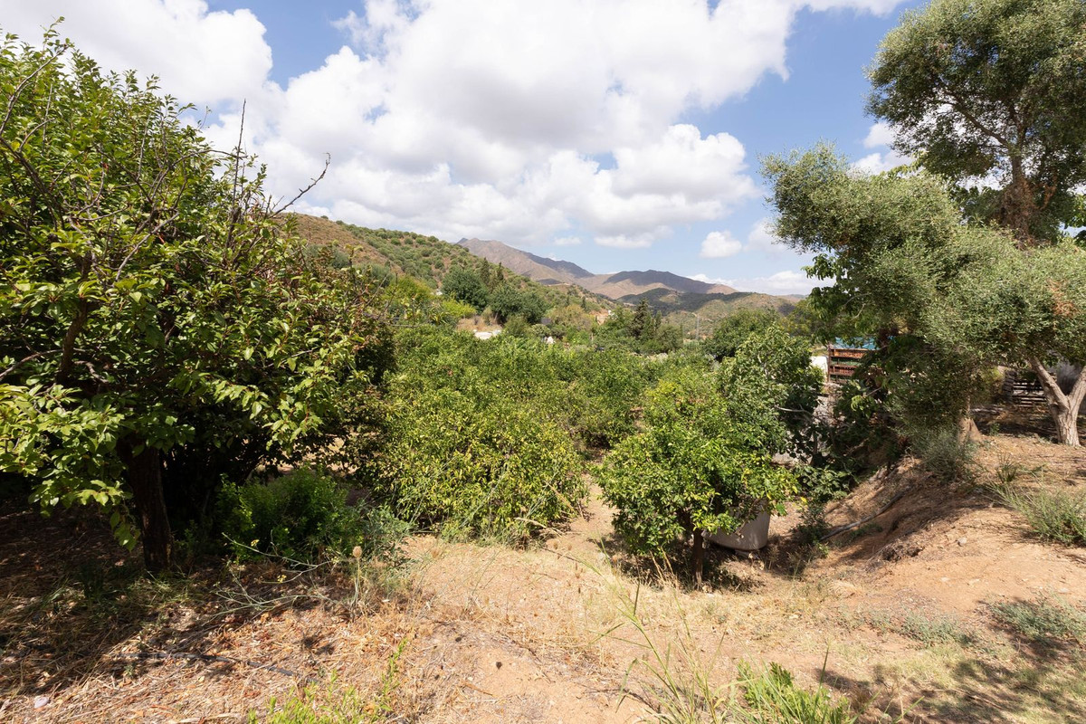 Property main view 36