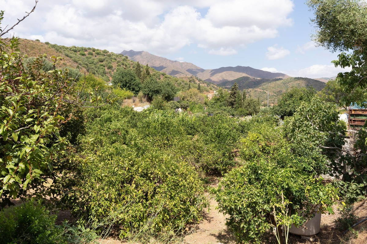 Property main view 38