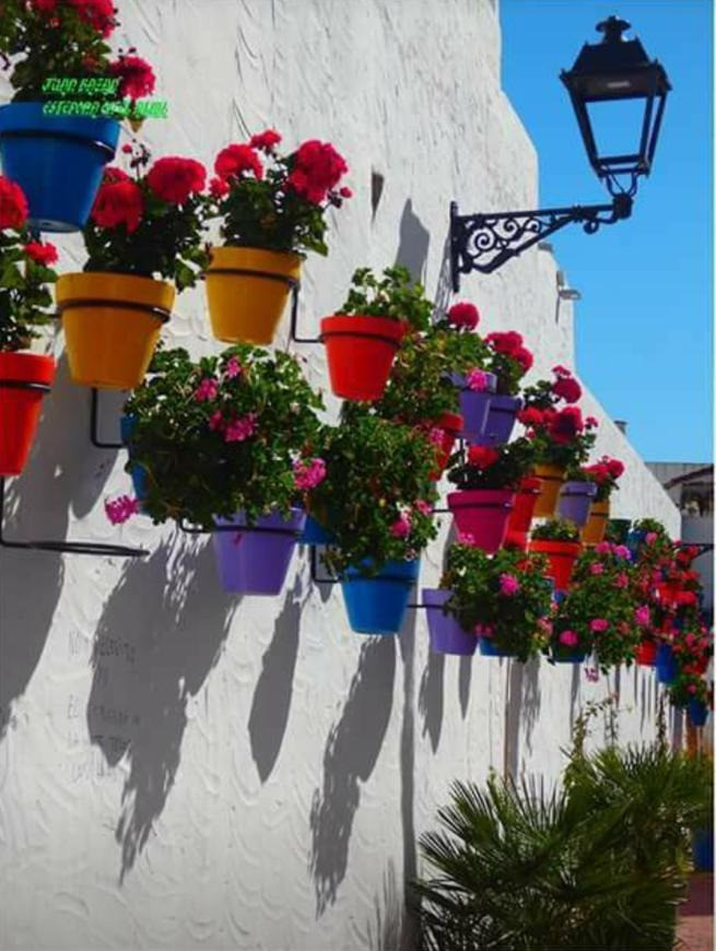 Property main view 21