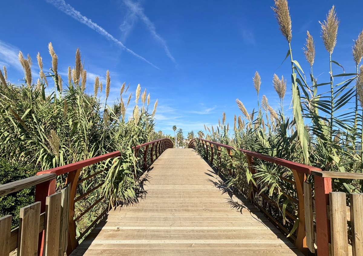 Property main view 18