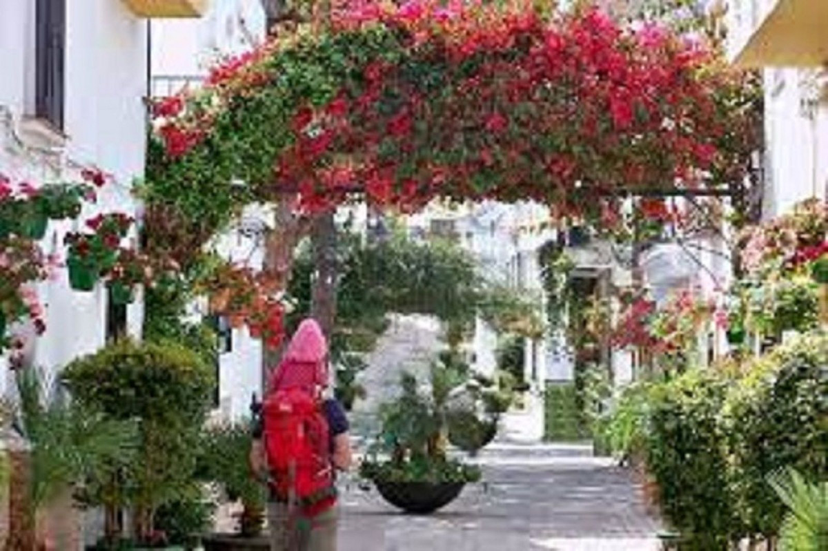 Property main view 21