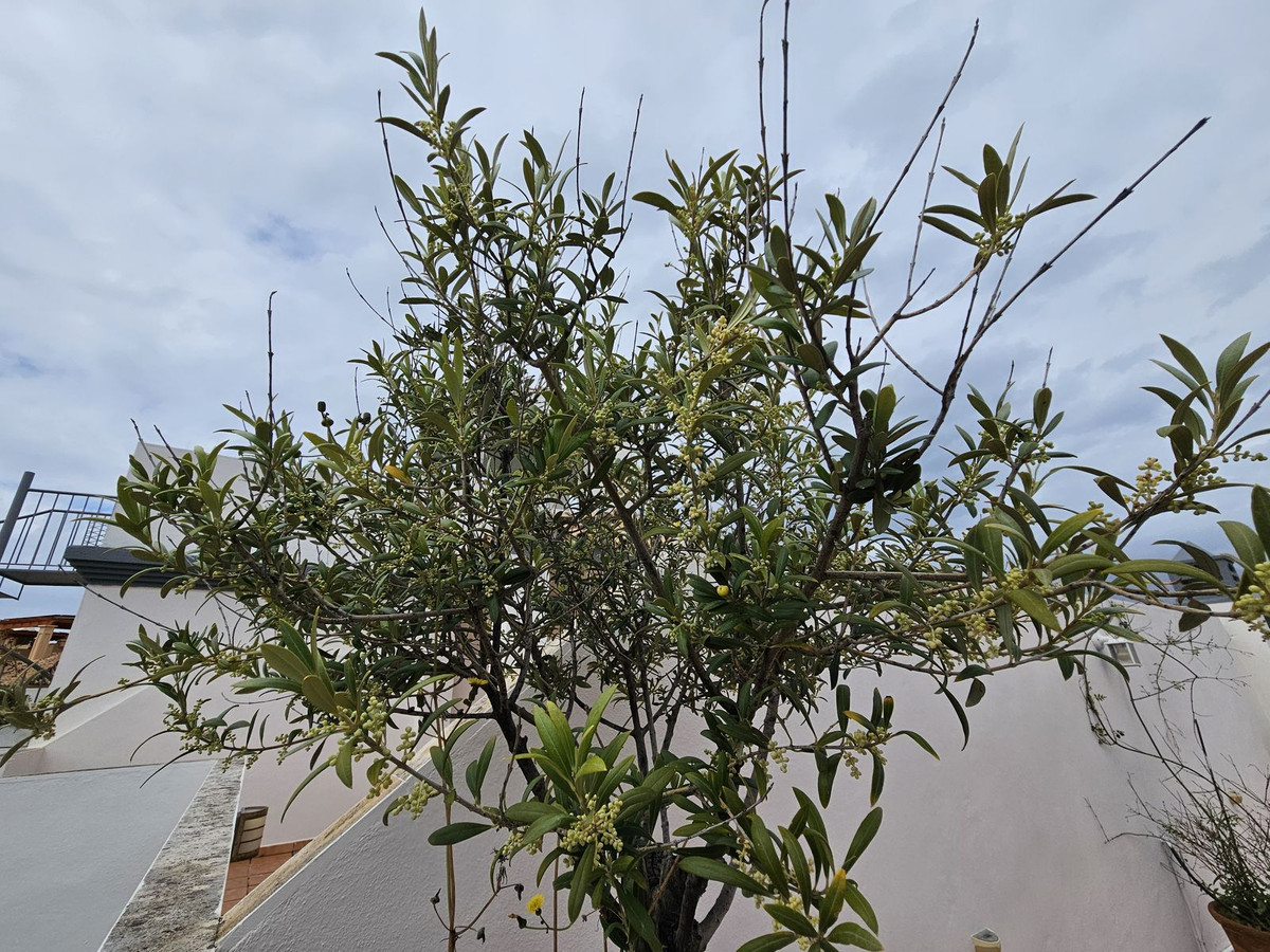 Property main view 19