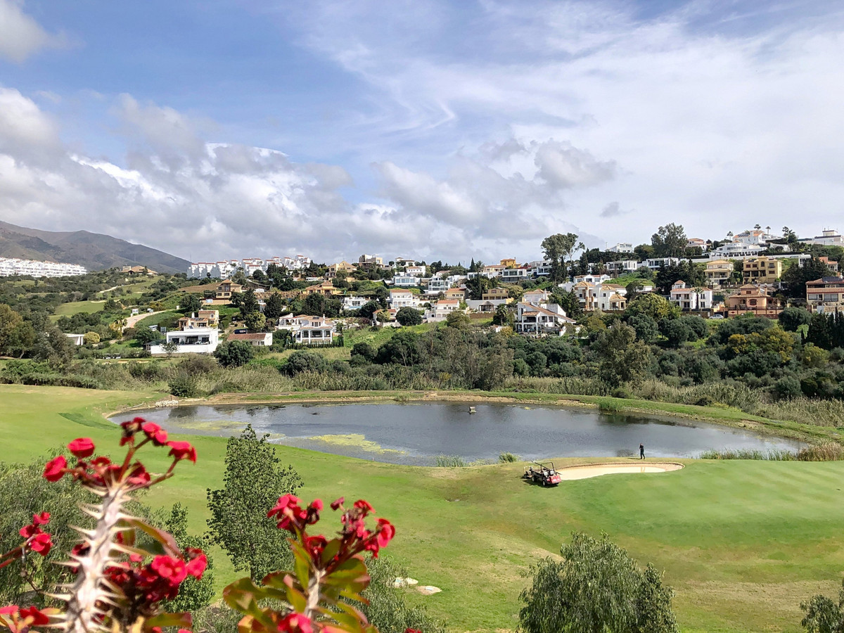 Property main view 15