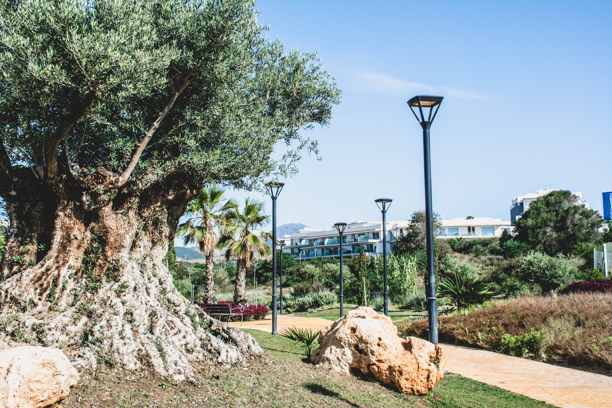 Property main view 22