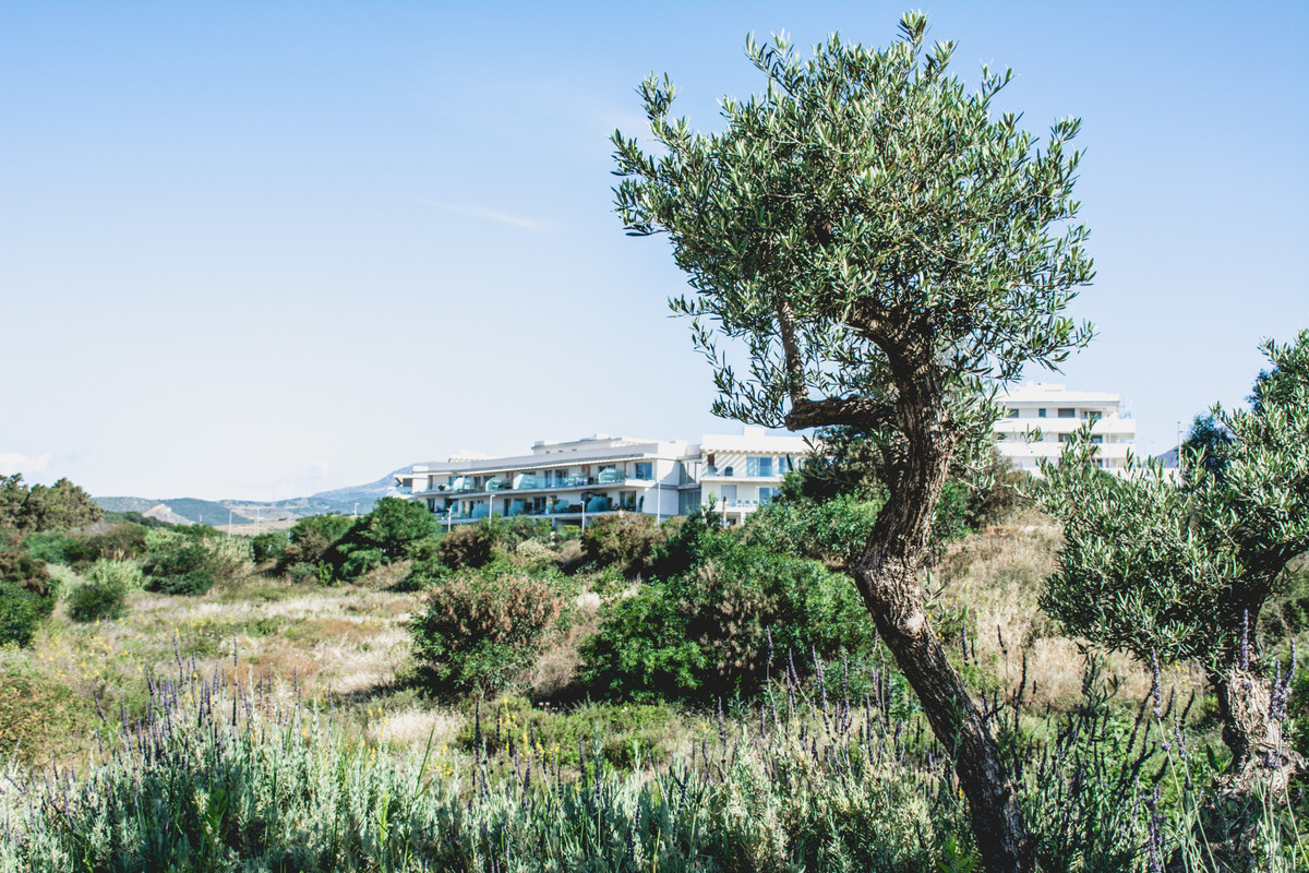 Property main view 24