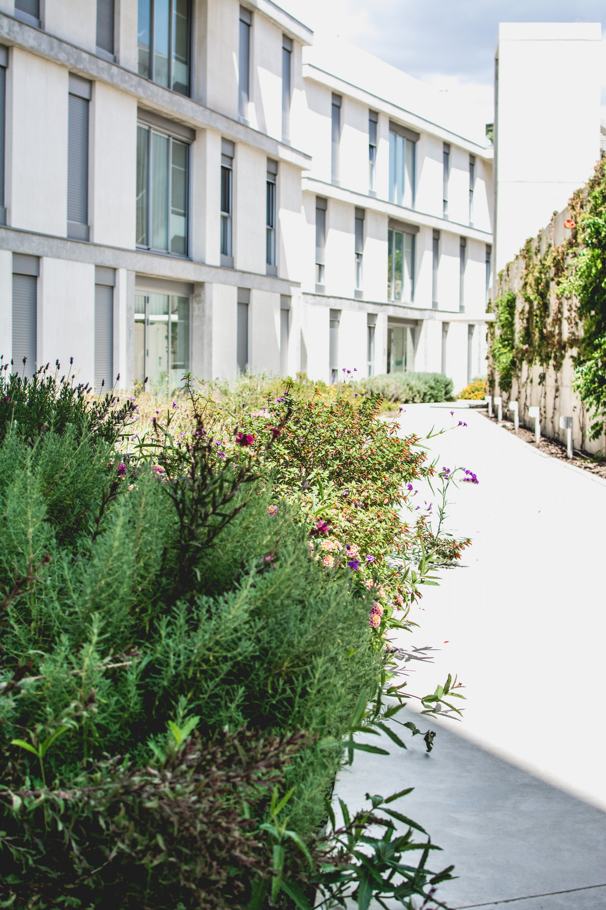 Property main view 25